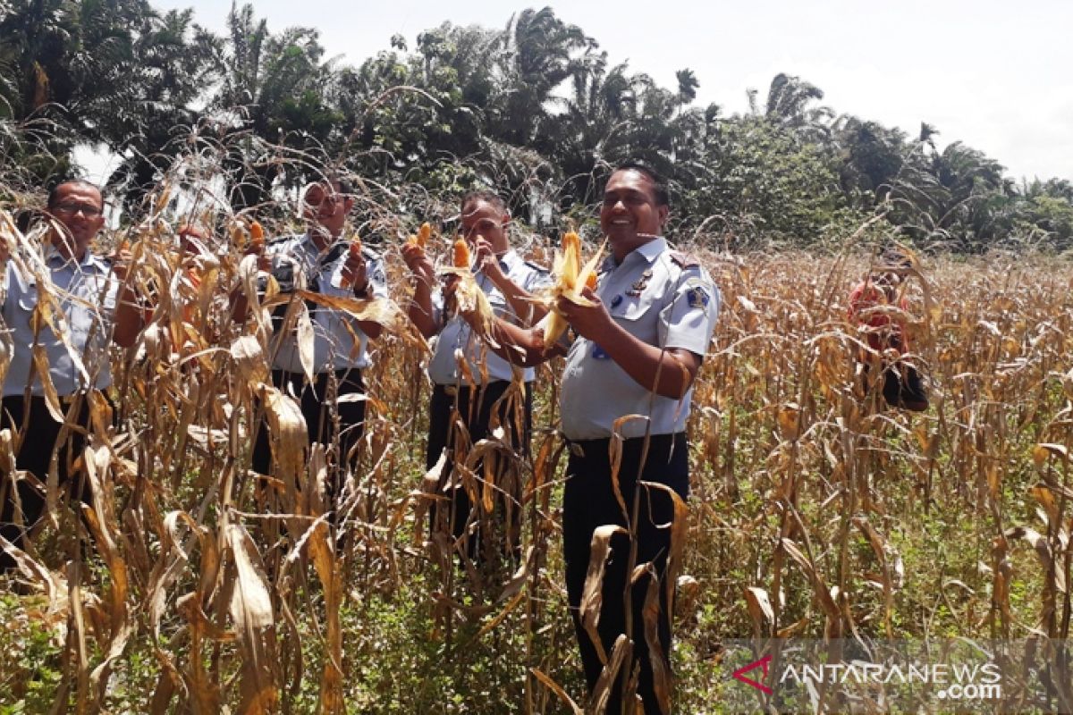 Lapas Terbuka Pasaman siap wujudkan ketahanan pangan sesuai resolusi permasyarakatan 2020 (Video)