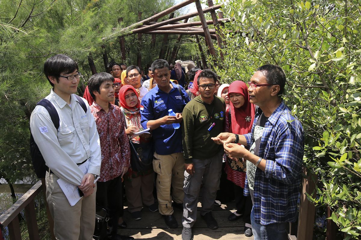 Pemkot Surabaya gandeng Kitakyushu teliti ekosistem mangrove Wonorejo dan Gunung Anyar