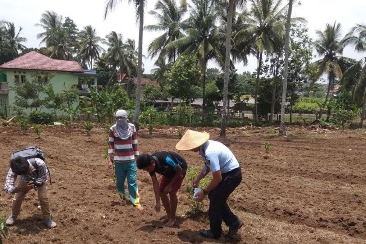 Lapas Rangkasbitung berdayakan Napi kelola usaha pertanian