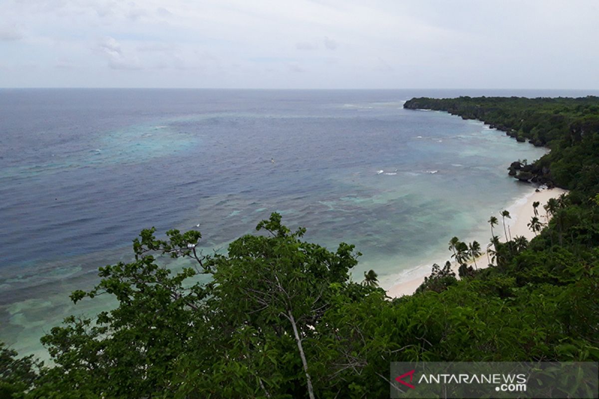 Wakatobi catat 28 ribu kunjungan pada awal 2020