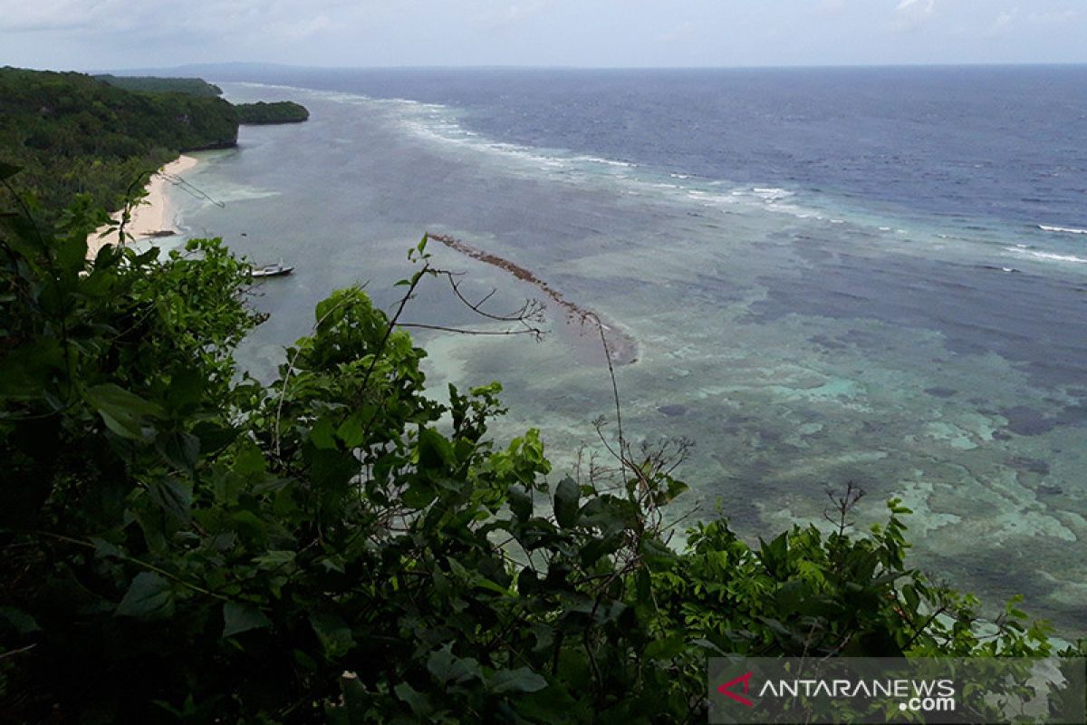 BKIPM berkolaborasi dengan TN Wakatobi bersihkan pantai