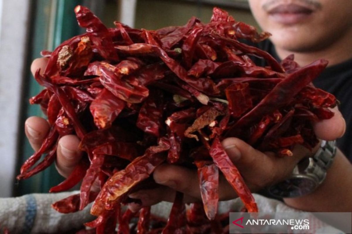 Harga cabai kering di Aceh Barat tembus Rp130 ribu/kilogram