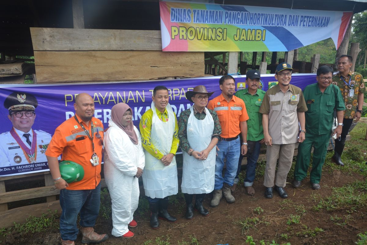 Upayakan swasembada daging, Jambi siap sukseskan program 