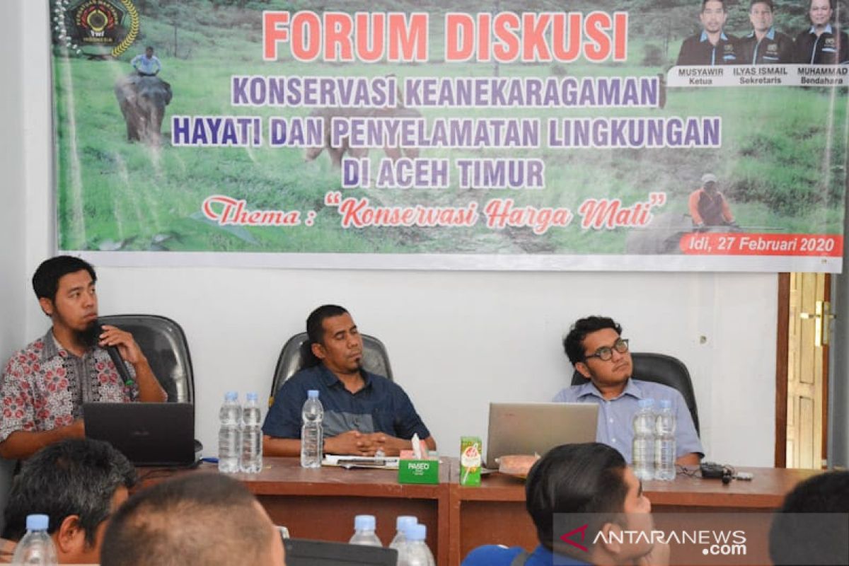 Hutan Aceh berkurang 15.140 hektare sepanjang 2019