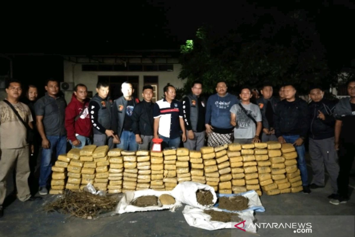 Polres Tapsel amankan 160 kg ganja di Padangsidimpuan