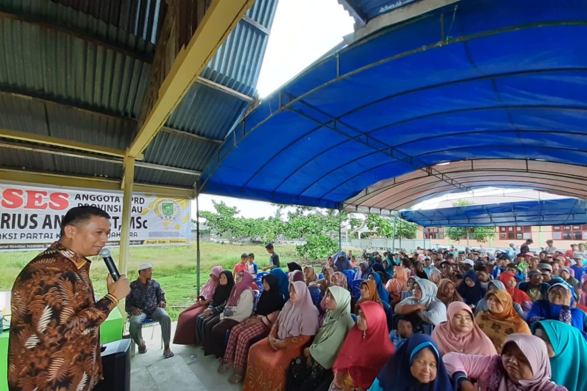 Anggota DPRD Riau soroti 700 ha sawah gagal panen di Kuala Kampar