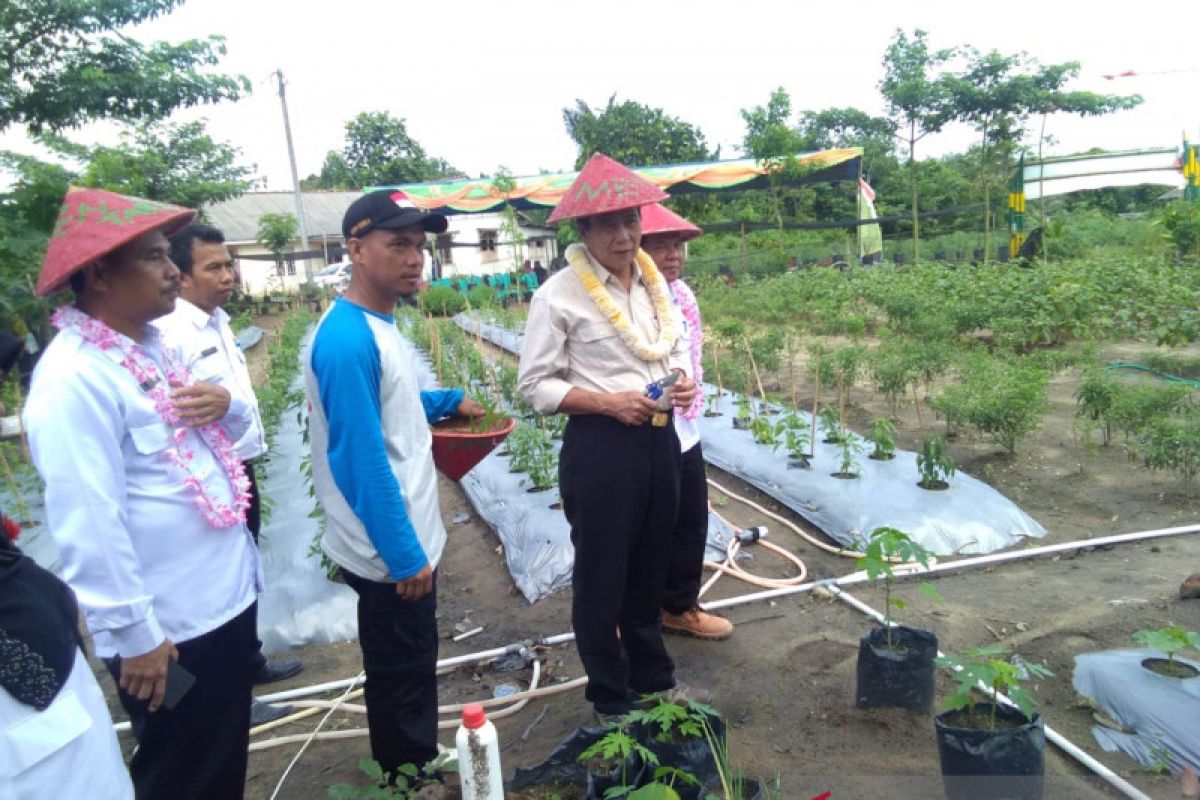 Bupati Bangka Tengah dorong KWT tanaman sayur keluarga