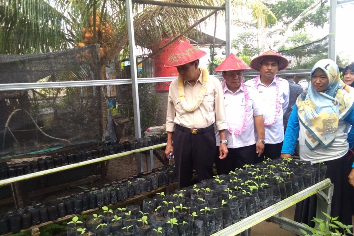 Pemkab Bangka Tengah dorong petani menuju sentra pertanian organik