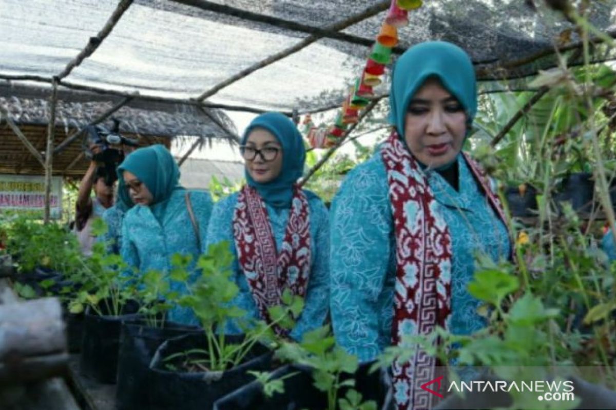 Tri Tito Karnavian apresiasi TP PKK Srimenanti, 