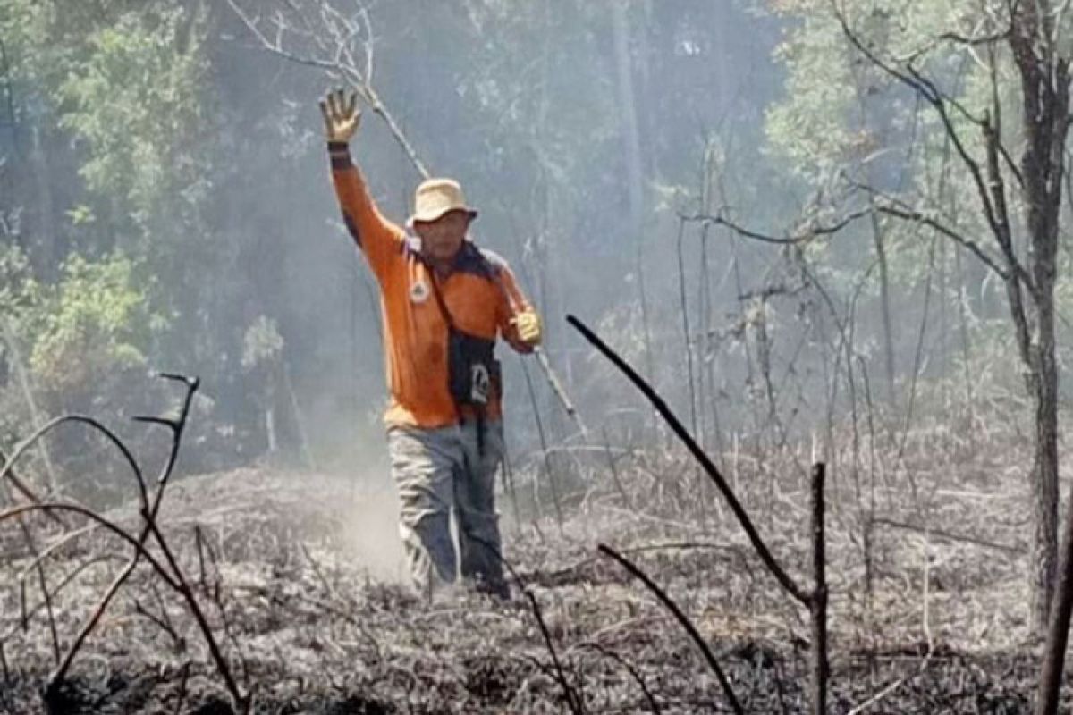 Kebakaran lahan di Barito Selatan sudah enam kali