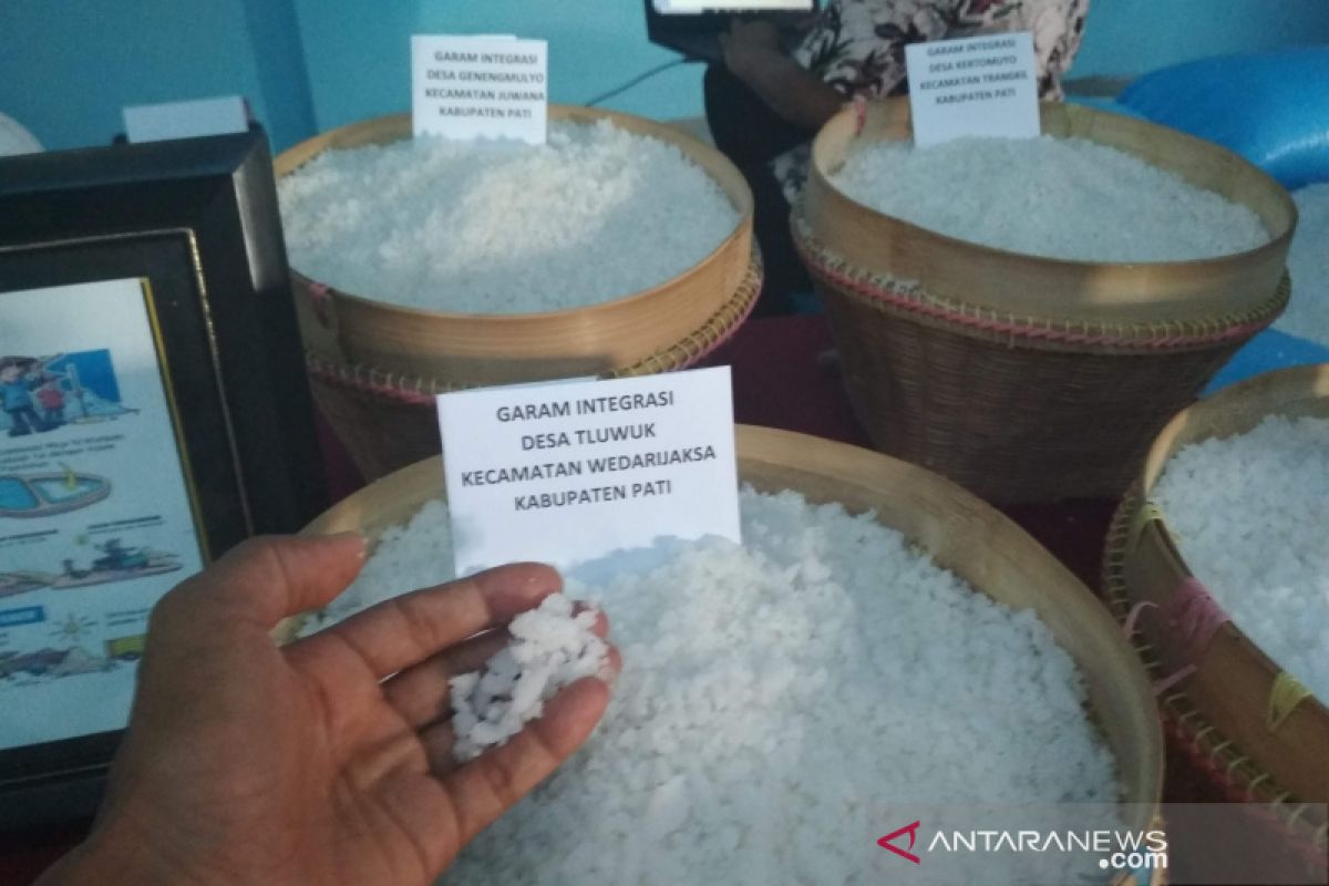 Harga garam jatuh, Pemkab Pati desak pembatasan impor