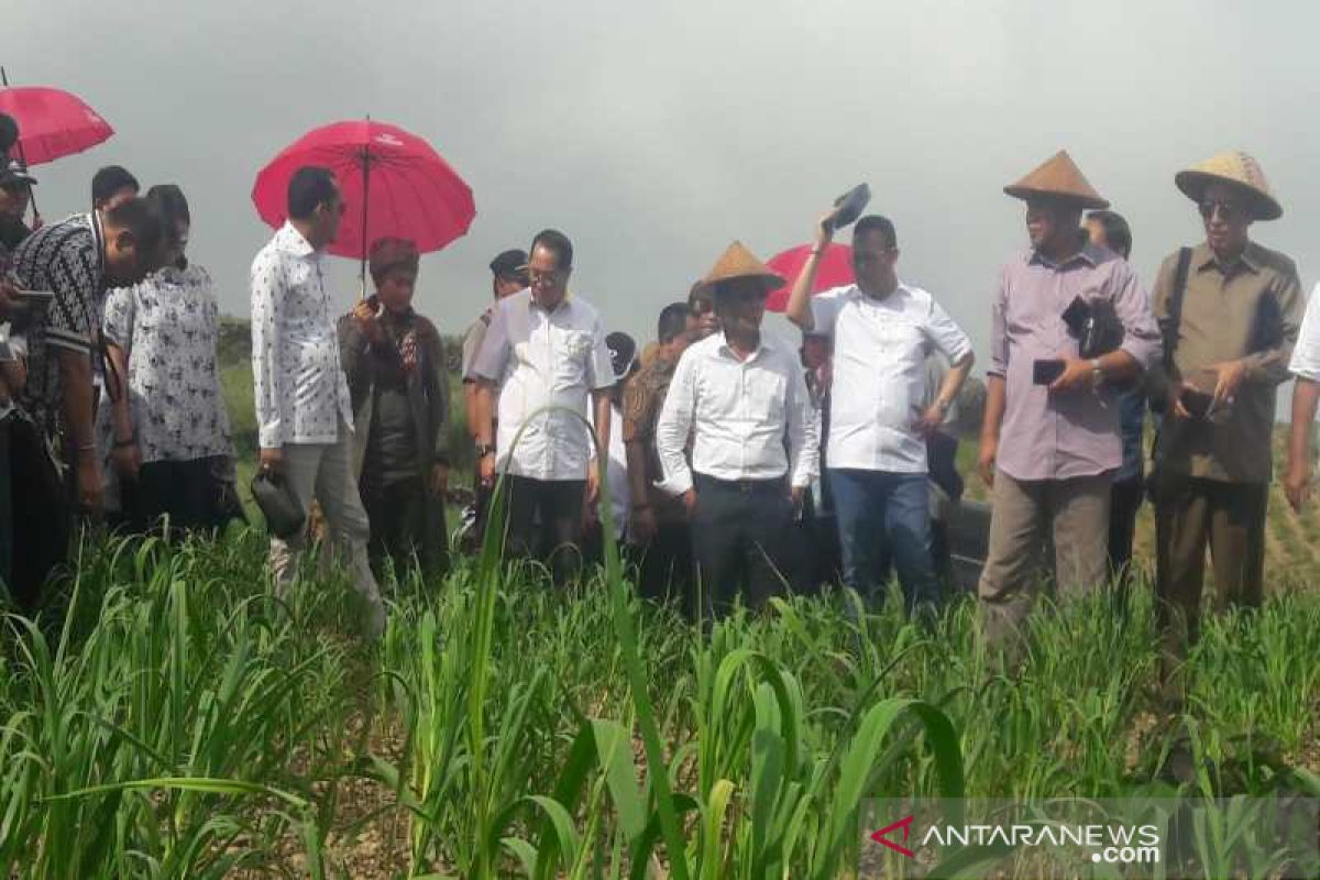 DPR dorong pemerintah setop impor bawang putih