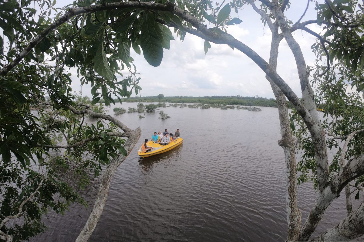 Desa wisata berpotensi jadi alternatif destinasi utama pariwisata