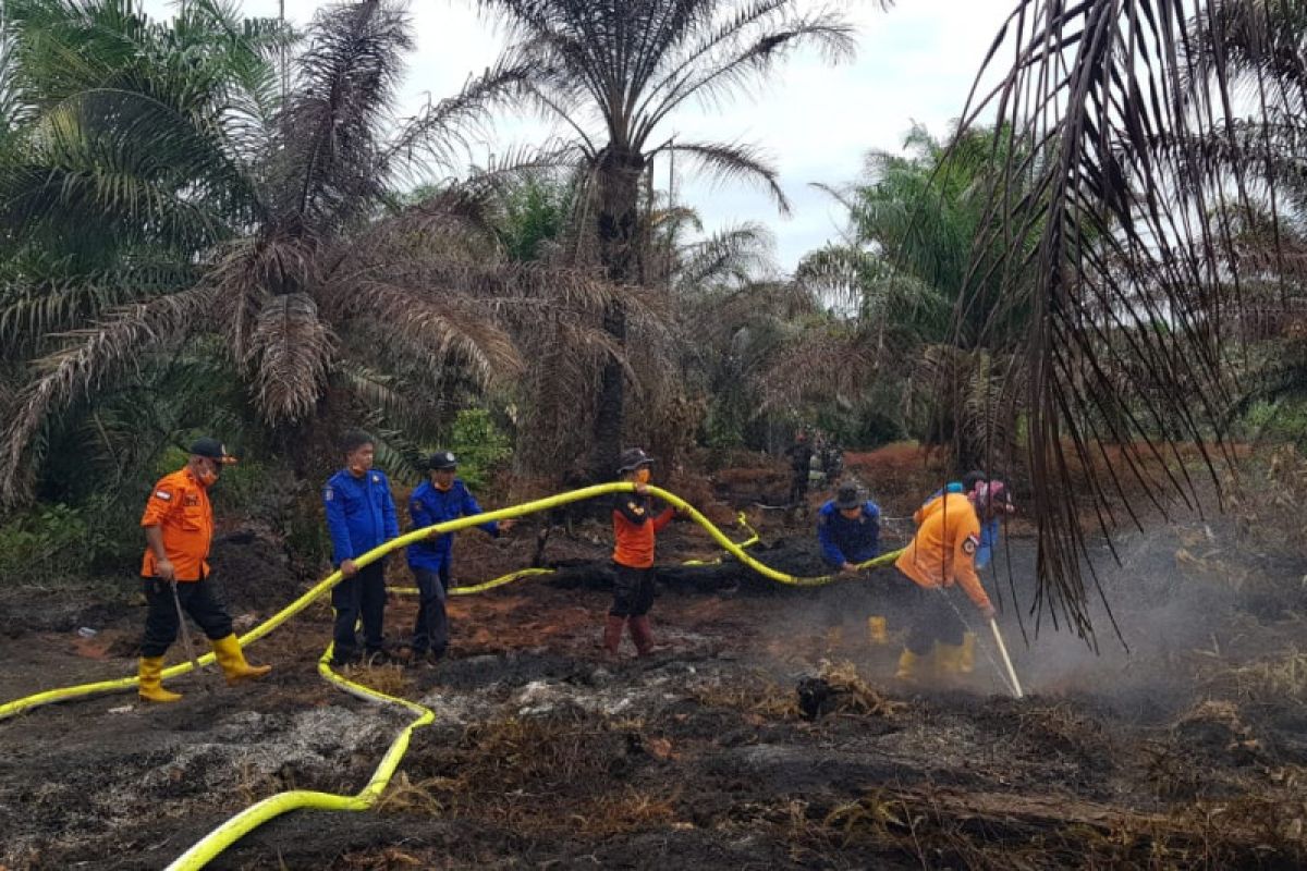 Tim gabungan berusaha padamkan api di lahan sawit di Pasaman Barat