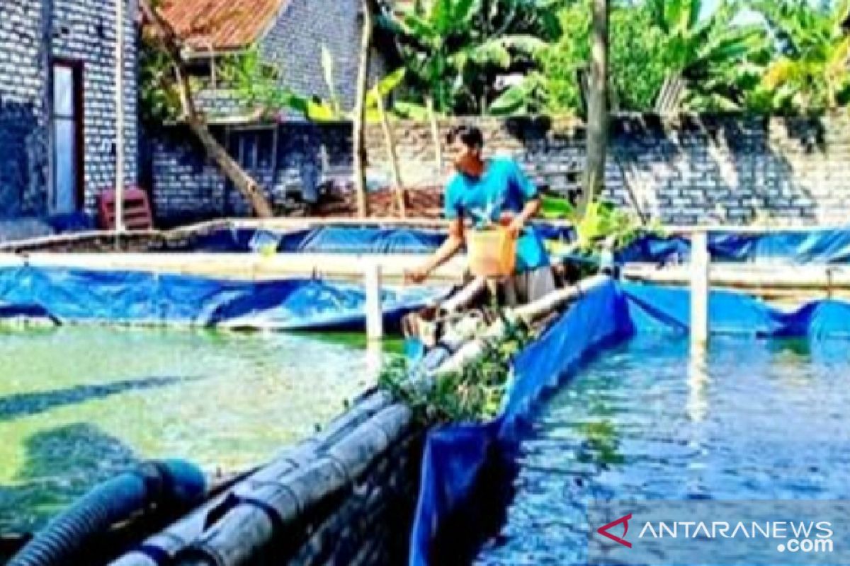 Kelompok budi daya ikan Sampang terima bantuan Rp1,9 miliar