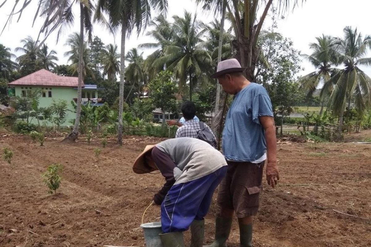 Warga binaan Lapas Rangkasbitung-Lebak lakukan gerakan tanam jagung