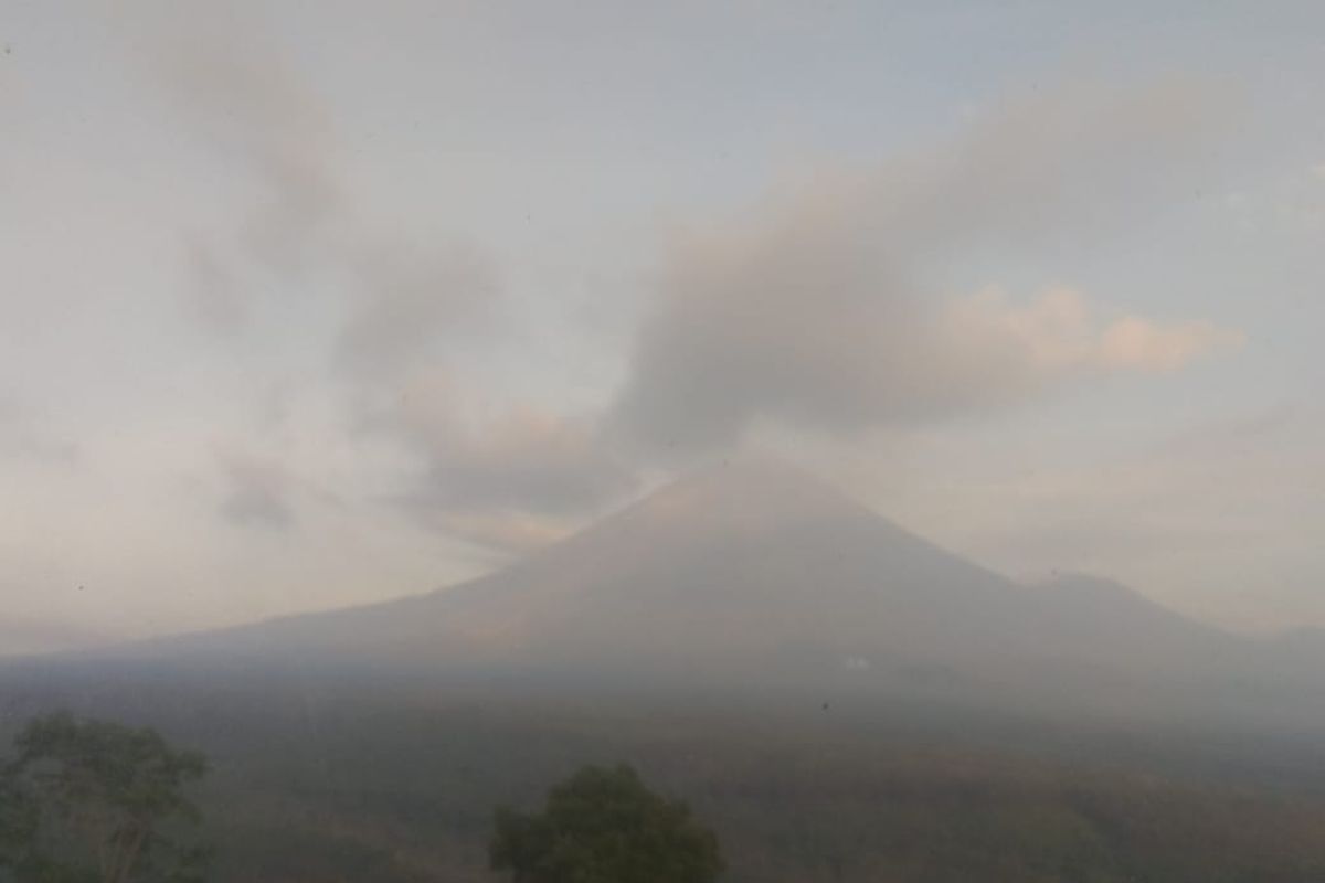 Semeru luncurkan tujuh kali guguran lava pijar