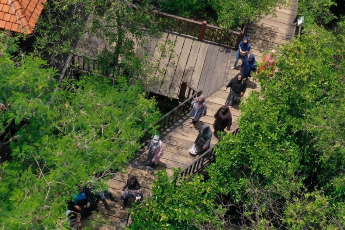 Pengunjung taman hutan raya di Surabaya dilarang bawa plastik