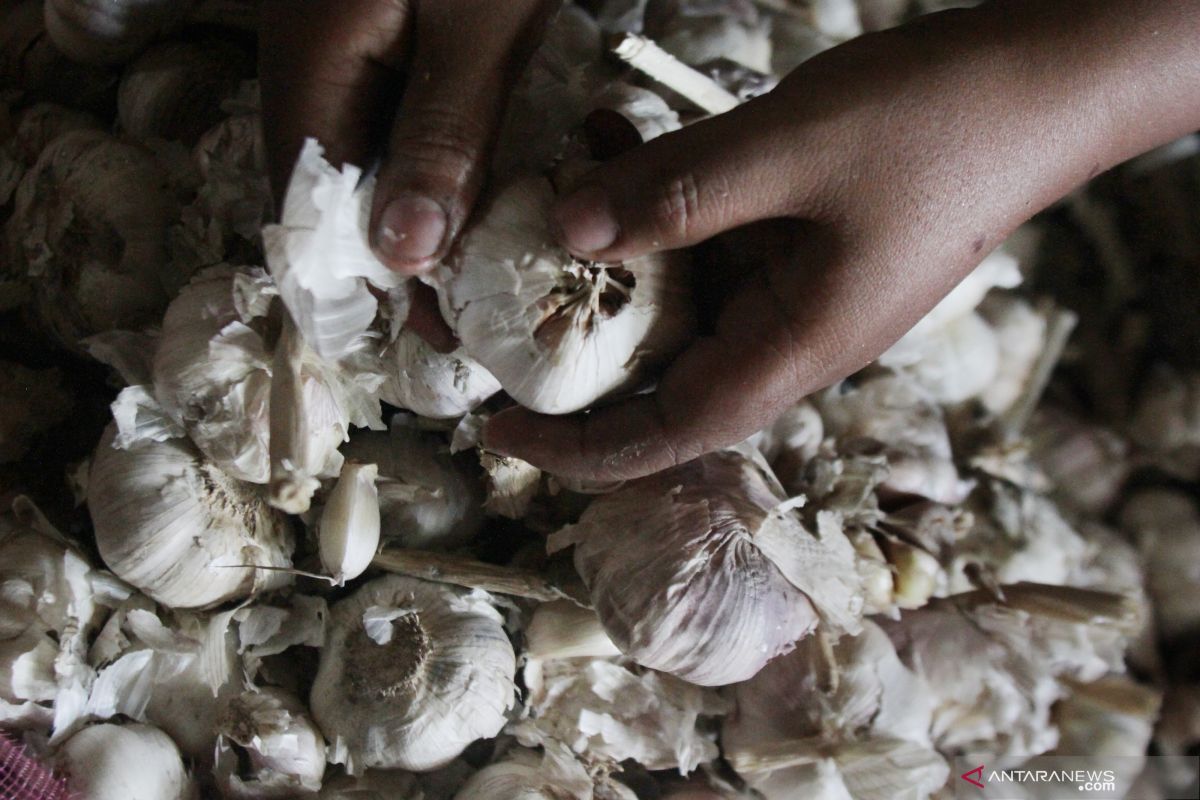 Kenaikan harga bawang putih picu inflasi di Kota Malang