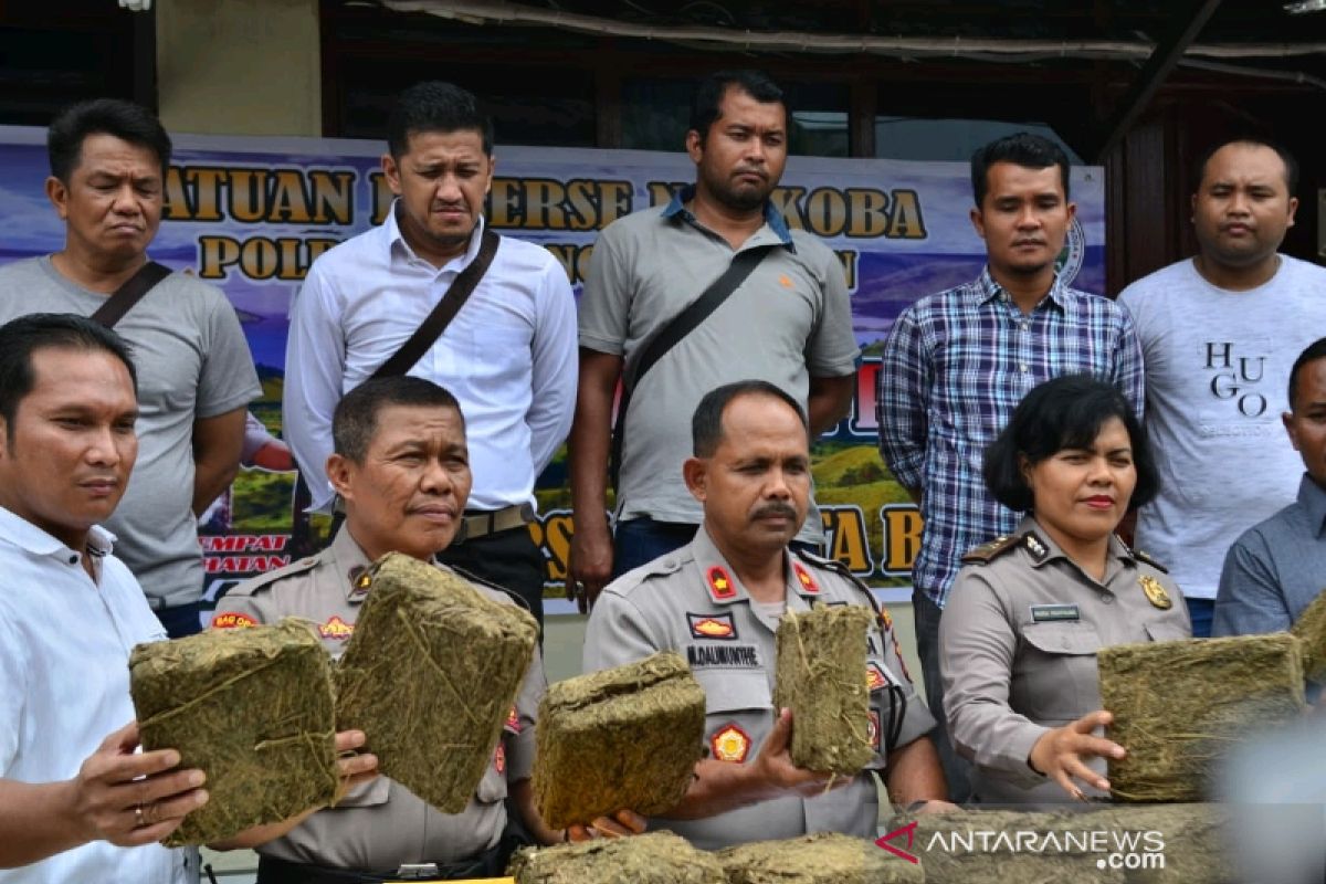 Polres Padangsidimpuan amankan 327 kg ganja tanpa pemilik