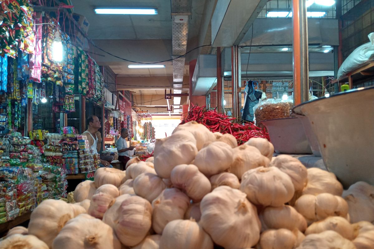 Harga bawang putih di Pasar Raya Padang turun Rp10.000 jadi Rp40.000 per kilogram