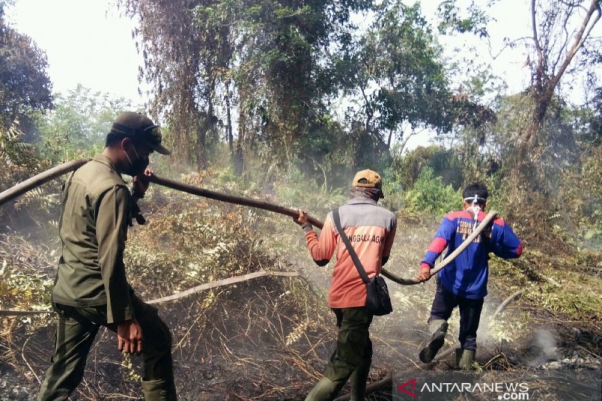 Tujuh hektare lahan terbakar di Siak, pemadaman masih dilakukan