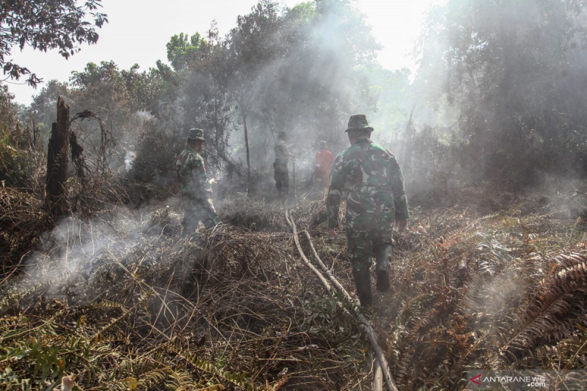 Sebanyak 28 kali Karhutla terjadi di Pekanbaru hingga Maret