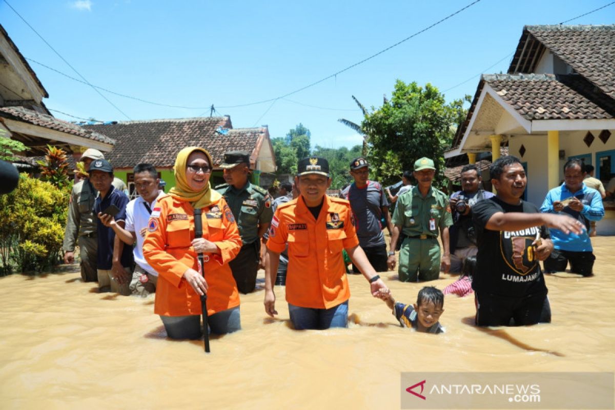 BPBD : 4.742 warga terdampak banjir di Kabupaten Lumajang