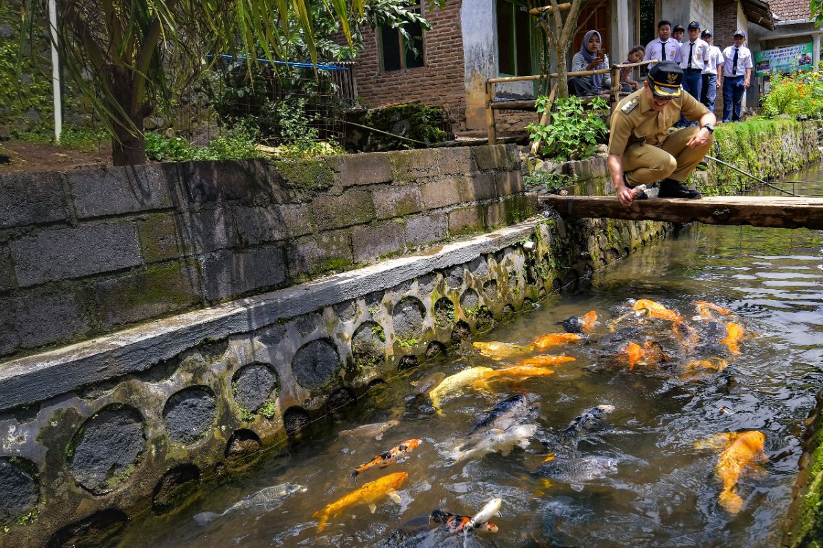 Warga Banyuwangi manfaatkan aliran sungai jadi kolam ikan