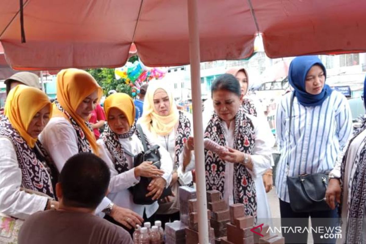 Istri Menhub RI terkesan pembangunan di Babel