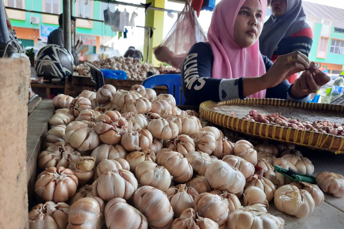 Harga bawang putih di Jambi masih mahal