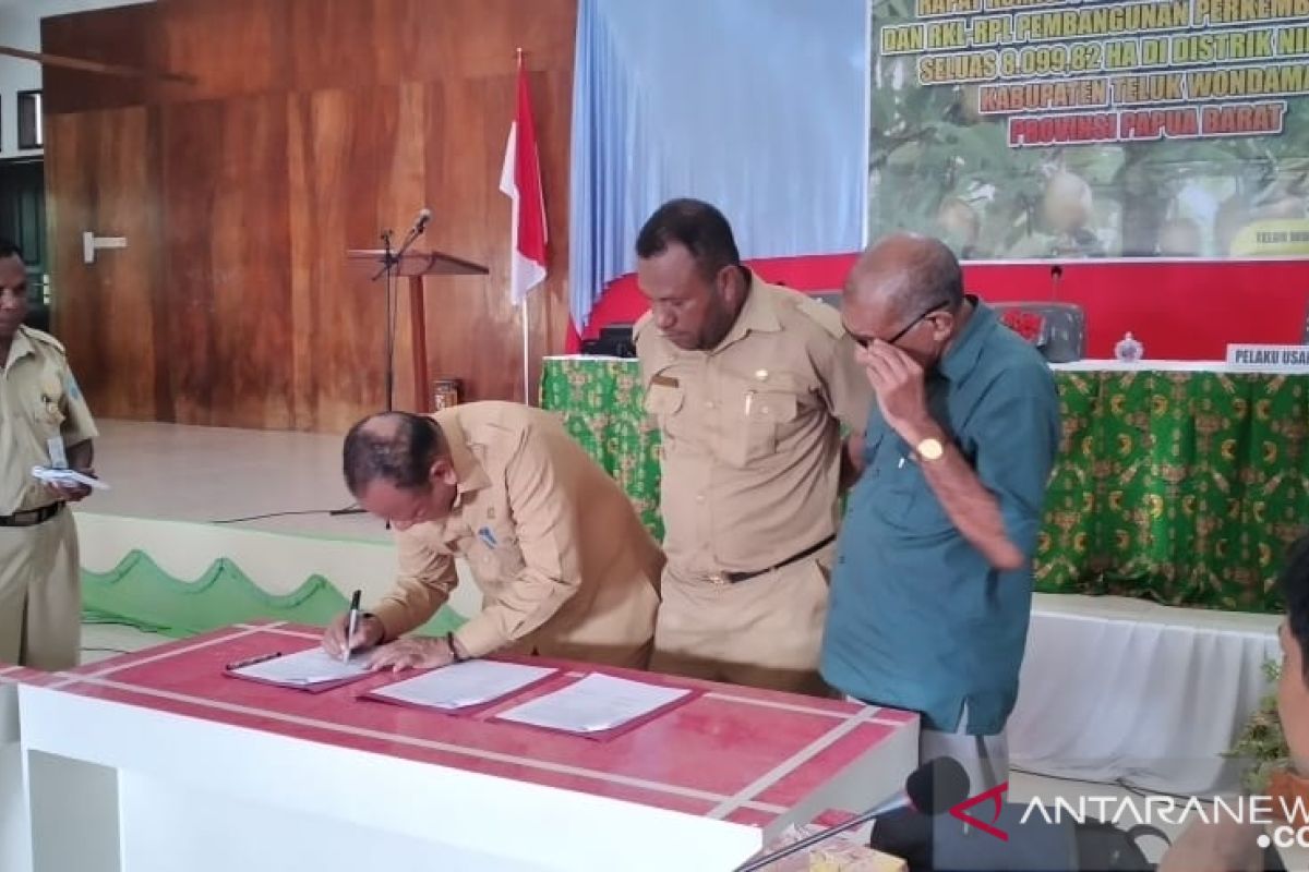 Ribuan hektare hutan di Teluk Wondama akan diubah jadi perkebunan pala