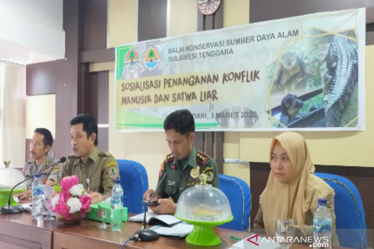 BKSDA Sultra bentuk Satgas penanganan konflik manusia dan satwa liar