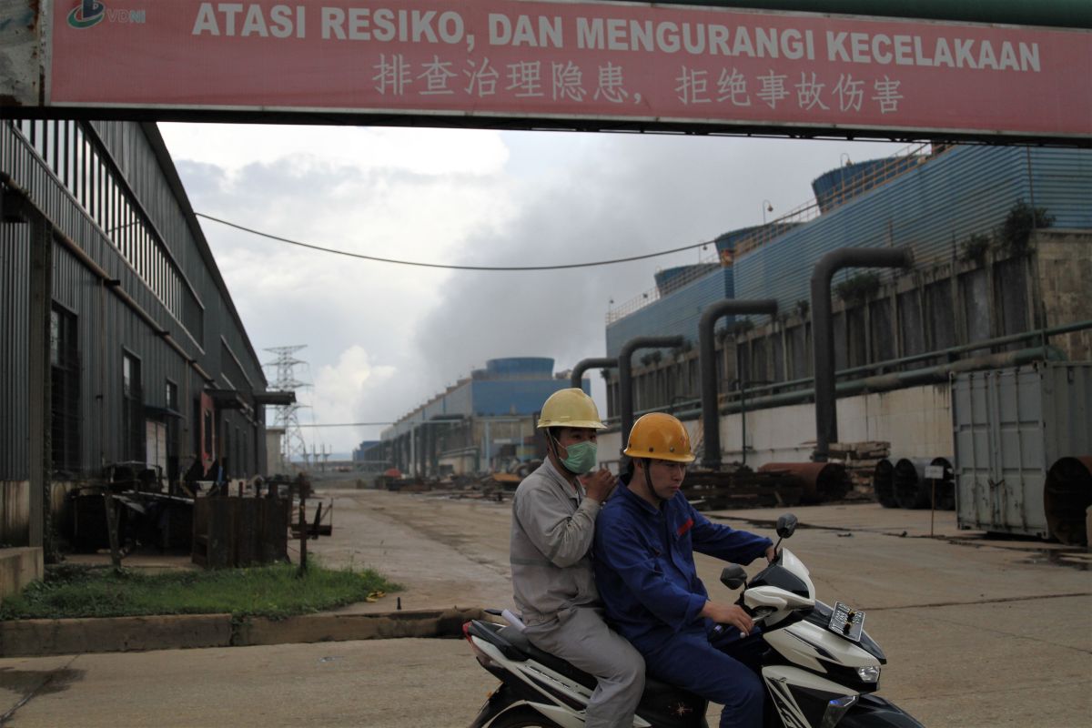 Tak ada tenaga kerja asing di Kayong Utara