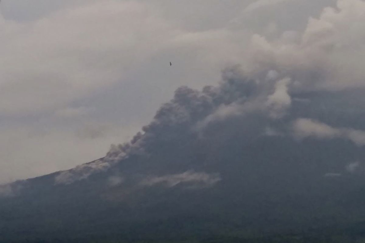 BPBD: Semeru keluarkan awan panas 3 kilometer