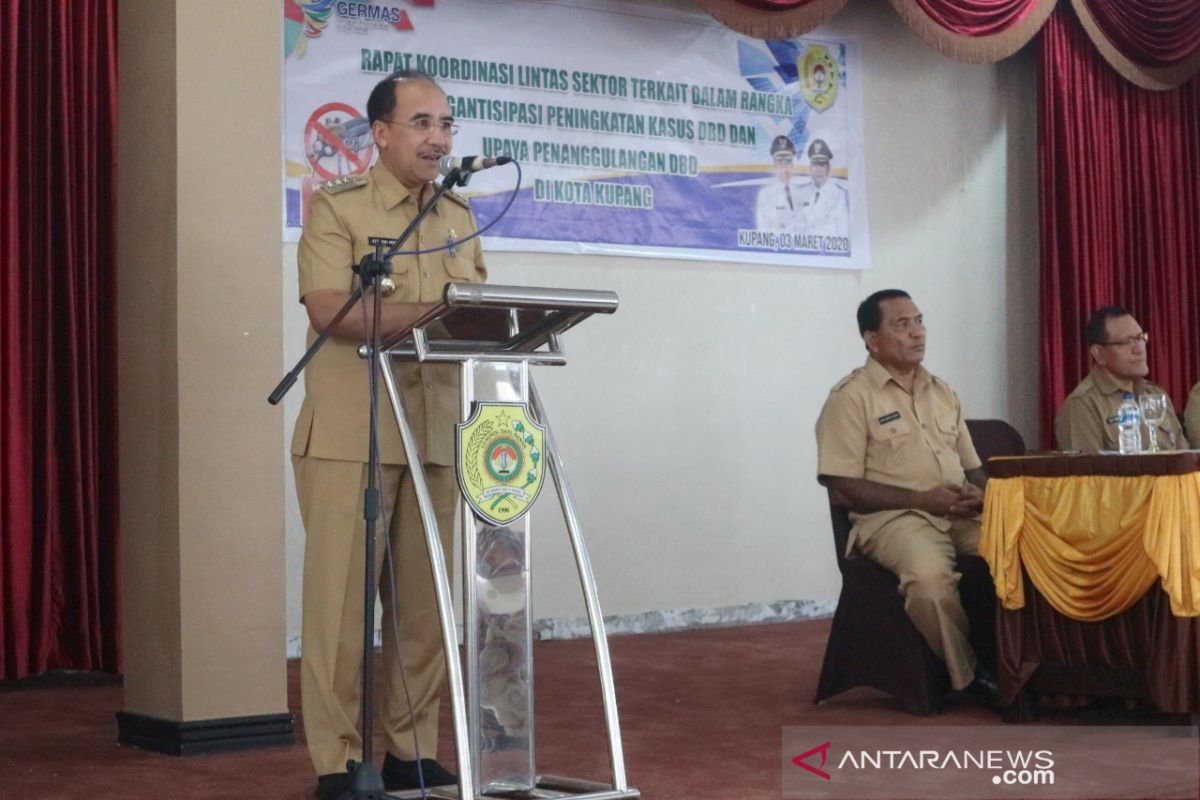 Camat dan Lurah di Kota Kupang diminta serius antisipasi serangan DBD