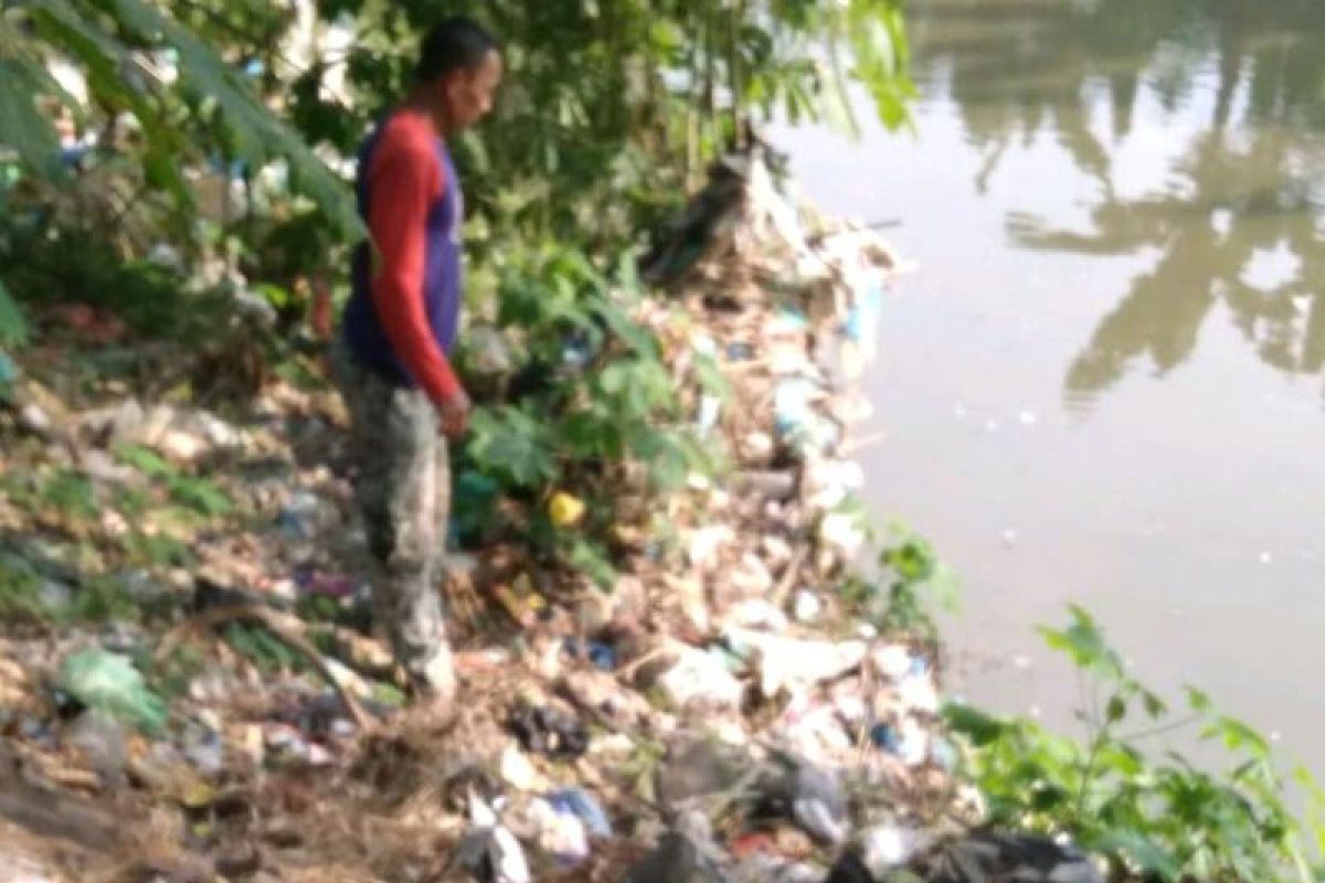 AMPHIBI tanam ribuan pohon di Hari Air  Internasional