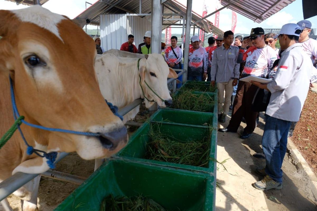 Melihat Progam Edupark Semen Gresik (bagian terakhir)