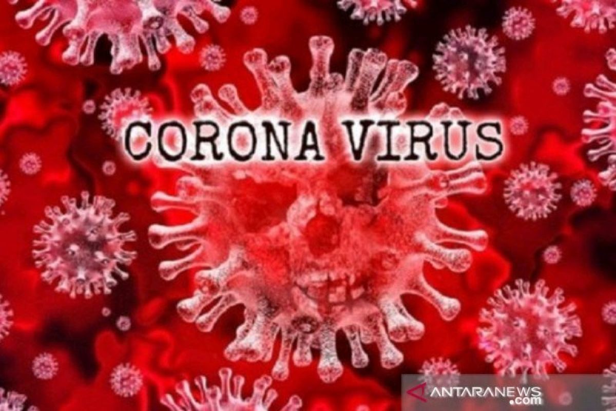 Pemerintah tetapkan pembiayaan pelayanan kesehatan akibat virus corona