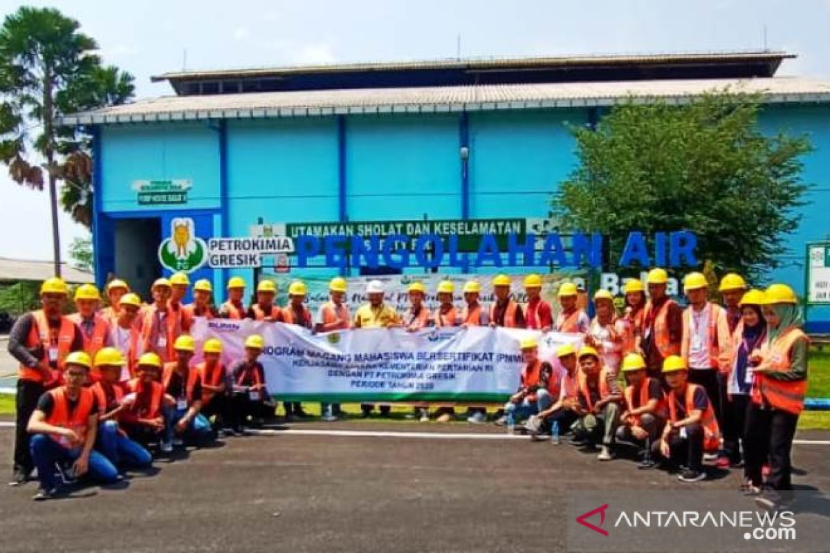 7 Mahasiswa Polbangtan Medan magang bersertifikat di PT Petrokimia Gresik