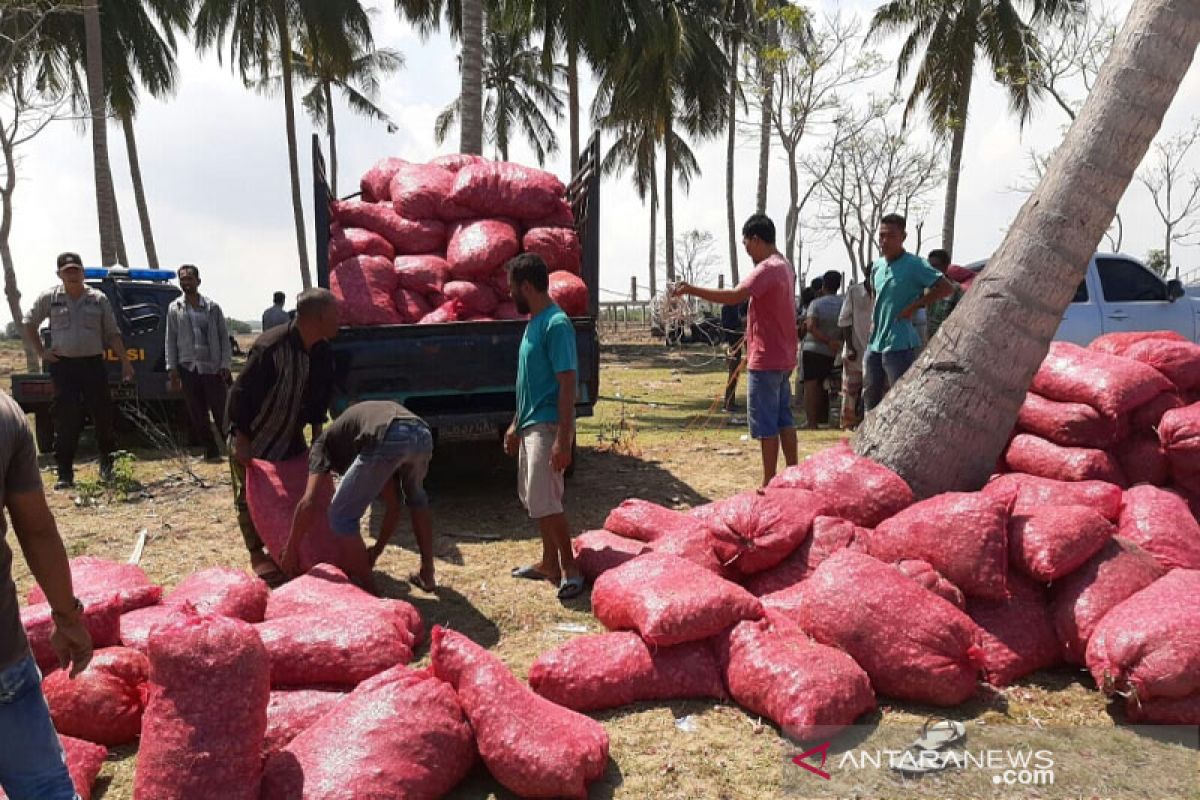 50 ton bawang merah seludupan digagalkan di Aceh Utara