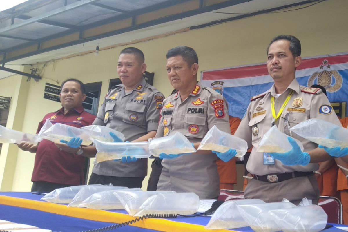 Polda Riau sita 35.345 benih lobster senilai Rp5,3 miliar