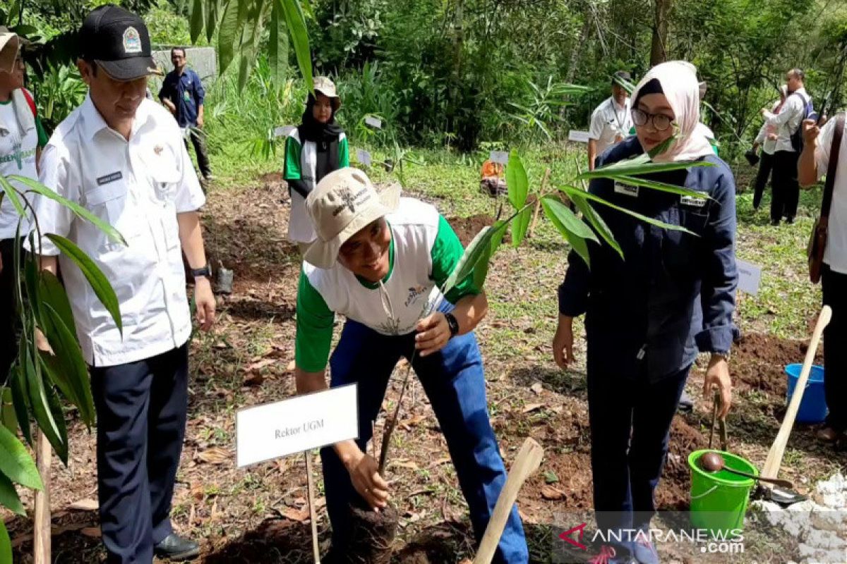 UGM melakukan penanam bambu di DAS Kali Oya Gunung Kidul