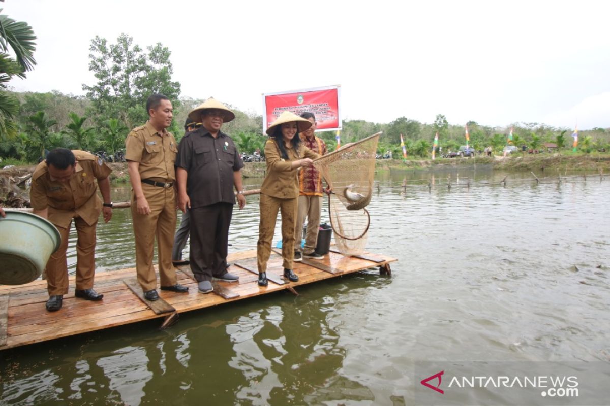 Pemkab Landak dorong masyarakat manfaatkan potensi ikan air tawar