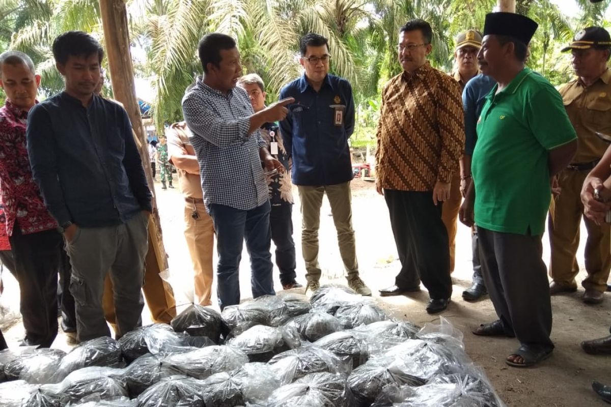 Rumah Kompos "Karya Muda" produksi pupuk berbahan pelepah sawit