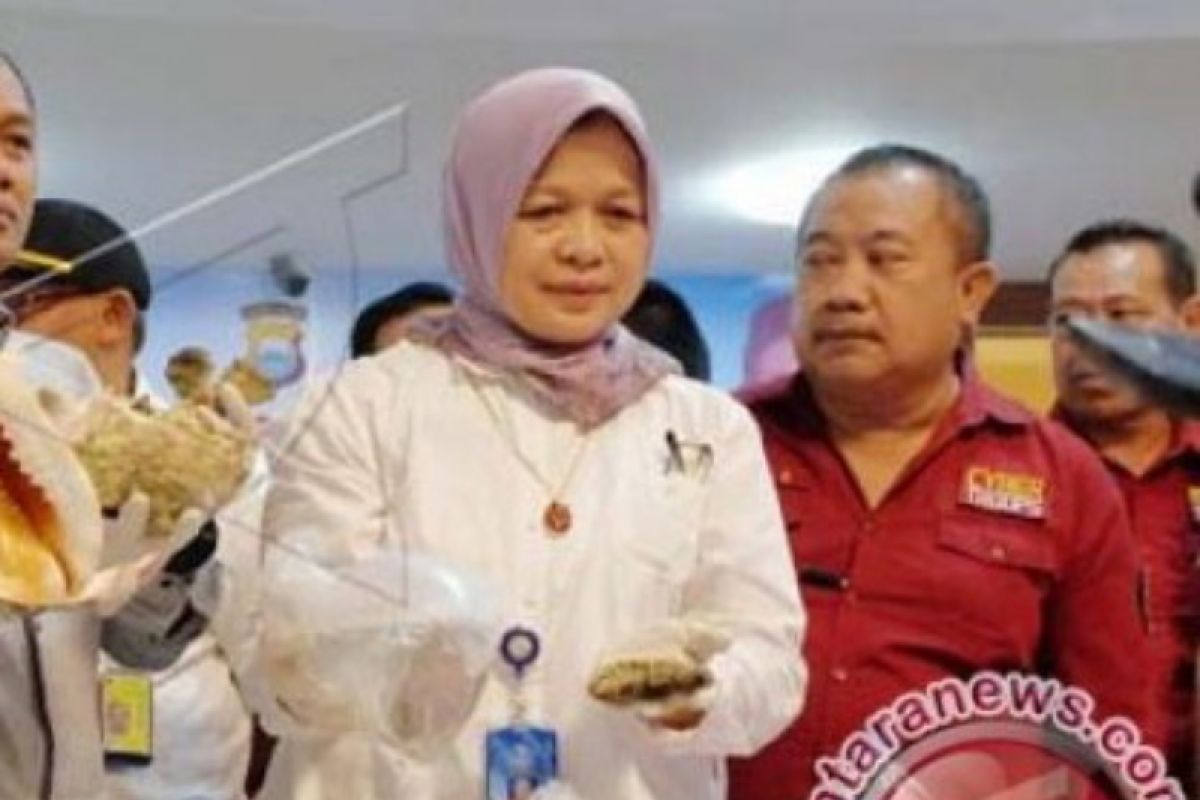 KKP : Negara pengimpor hasil laut Indonesia minta ketertelusuran asal ikan