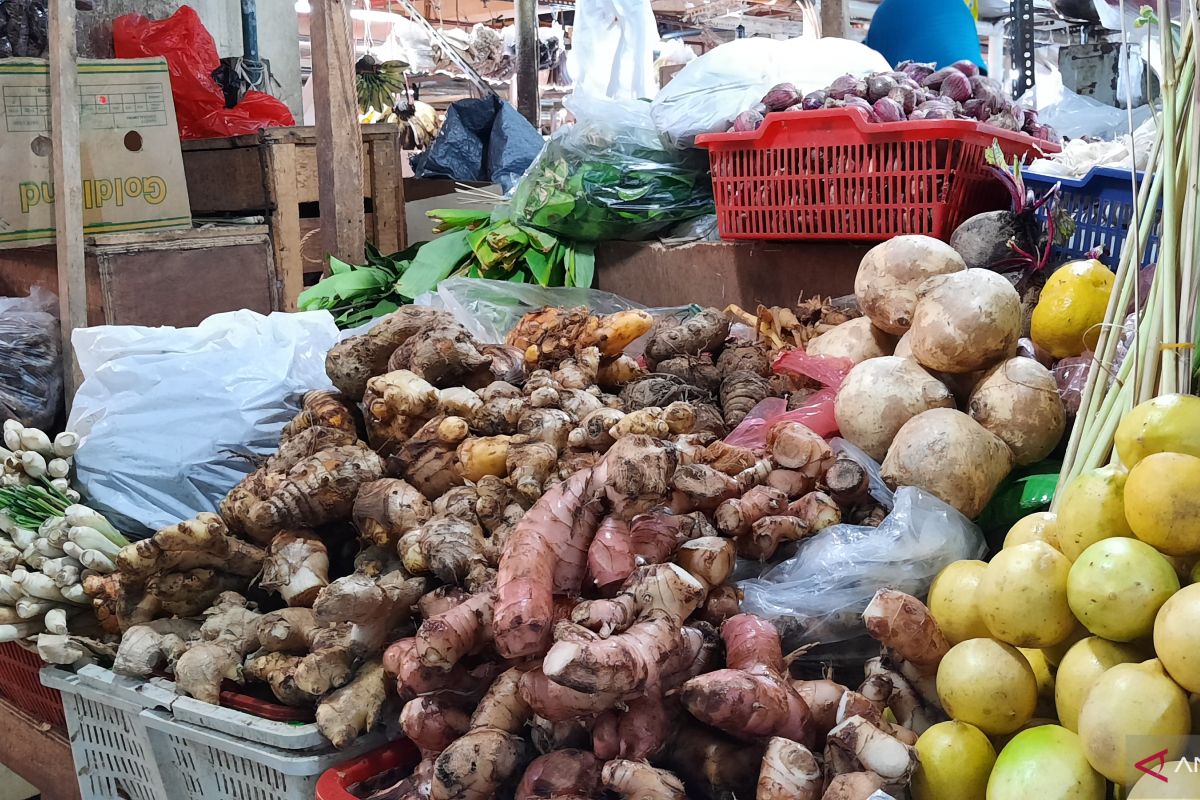 Temulawak dan jahe merah paling dicari pembeli di Pasar Mayestik