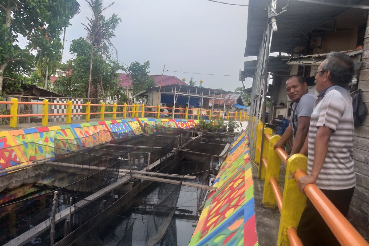 Jusmidar sulap drainase di Tembilahan jadi tambak ikan