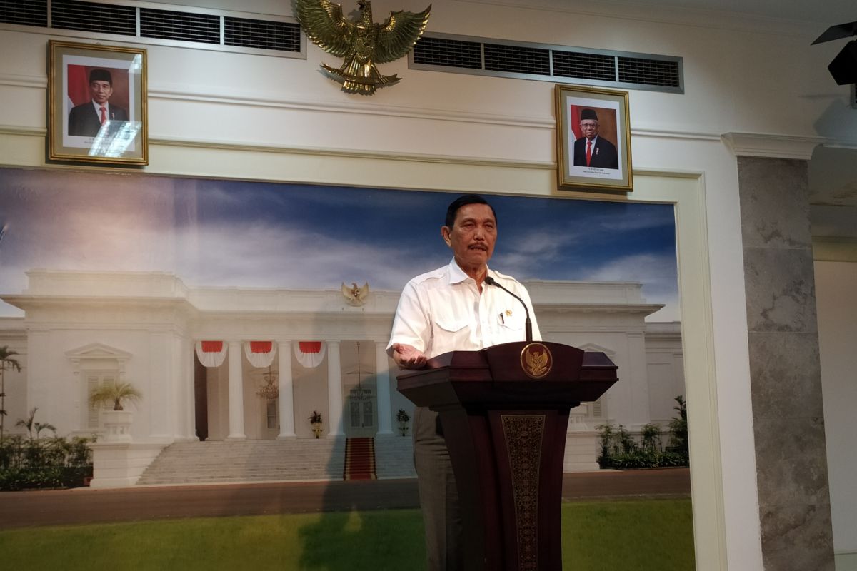 Luhut janjikan insentif pajak bagi industri di timur Indonesia