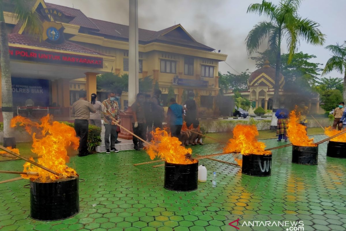 Puluhan kilogram ganja, sabu-sabu dan ribuan pil narkoba dimusnahkan Polres Siak